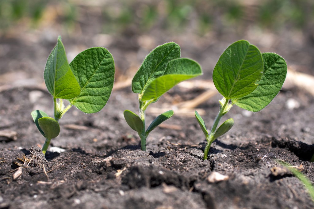 Put Yourself Out&nbsp;There